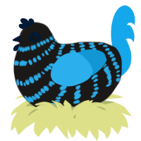 A sable and sky chicken with a bar pattern