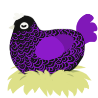 The Seer, a black and violet chicken with a double-lace pattern