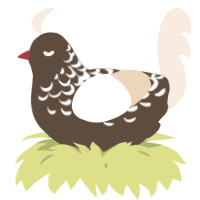 A bark and cream chicken with a half-lace pattern