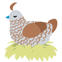 A mist and brown chicken with a lace pattern