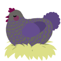 A grey and overcast chicken with a lace pattern