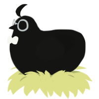 A black chicken