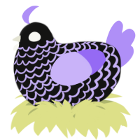 A black and lilac chicken with a lace pattern