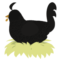 A black and sable chicken with a double-lace pattern