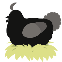 A black and grey chicken
