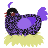 Unholy, a black and blurple chicken with a double-lace pattern