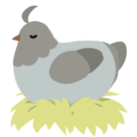 A silver and ash chicken with a head pattern