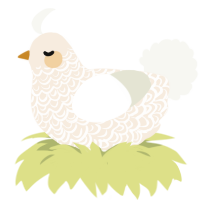 Charity, a cream and white chicken with a double-lace pattern