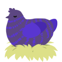 A overcast and indigo chicken with a bar pattern