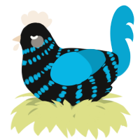 A black and cerulean chicken with a bar pattern