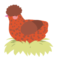 A vermilion and russet chicken with a speckle pattern