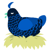 A tumblr and ultramarine chicken with a lace pattern