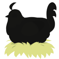 Outlet, a black chicken with a head pattern