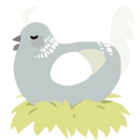 A silver and white chicken with a neck-band pattern