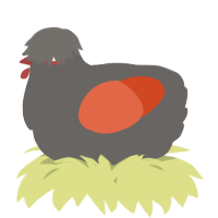 A grey and vermilion chicken