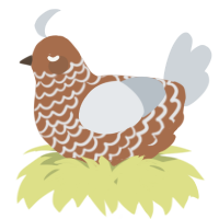 A brown and mist chicken with a lace pattern