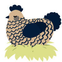 A beige and tumblr chicken with a lace pattern