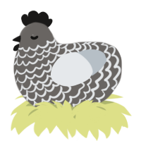 A grey and mist chicken with a lace pattern