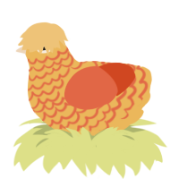 A honey and vermilion chicken with a lace pattern