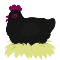 A black and sable chicken with a lace pattern