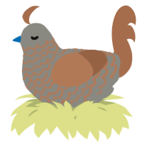 A ash and brown chicken with a lace pattern
