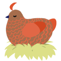 A brown and vermilion chicken with a lace pattern