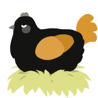 A black and orange chicken