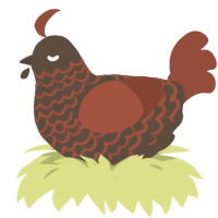Ona, a bark and russet chicken with a lace pattern