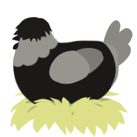 A sable and ash chicken with a head pattern