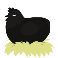 Envy, a black and sable chicken with a head pattern