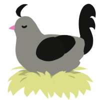 Chicken, a ash and black chicken