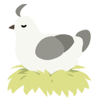 A white and ash chicken