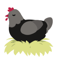 A sable and grey chicken with a head pattern