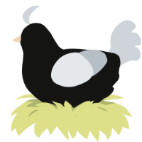 Appeal, a black and mist chicken
