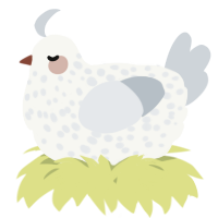 A white and mist chicken with a speckle pattern
