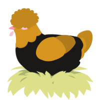 A sable and ochre chicken with a head pattern