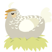 Aelin, a silver and white chicken with a half-lace pattern
