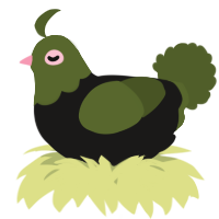 A sable and olive chicken with a head pattern