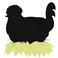 A black chicken with a lace pattern