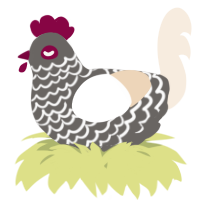 A grey and cream chicken with a lace pattern