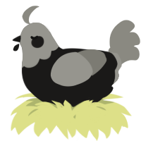 A sable and ash chicken with a head pattern