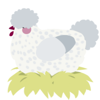 A white and mist chicken with a speckle pattern