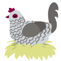 Ingus, a mist and grey chicken with a lace pattern