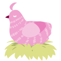 A pink chicken with a bar pattern