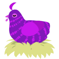 A violet and amethyst chicken with a bar pattern