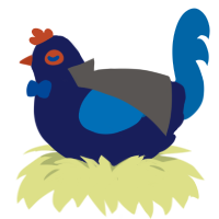 Detective Lucius, a navy and sapphire chicken