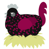 Bleedstone, a black and maroon chicken with a speckle pattern