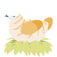 A cream and honey chicken with a half-bar pattern