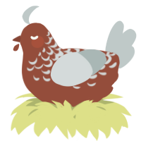 A russet and silver chicken with a half-lace pattern