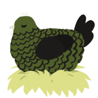A olive and sable chicken with a lace pattern
